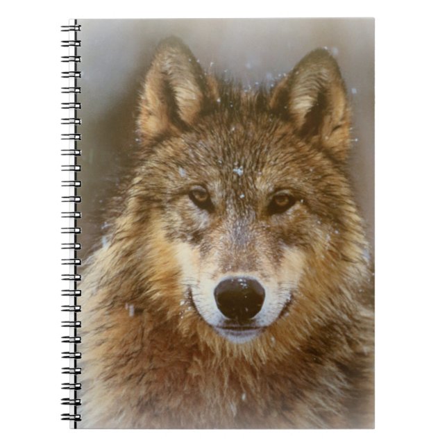 Carnet Loup (Devant)