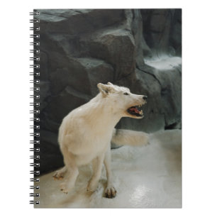 Carnet Loup blanc
