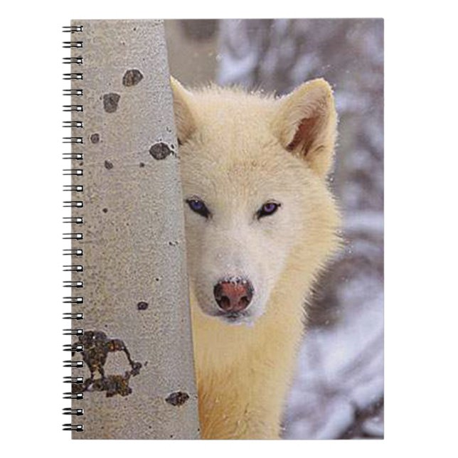 Carnet Loup blanc (Devant)