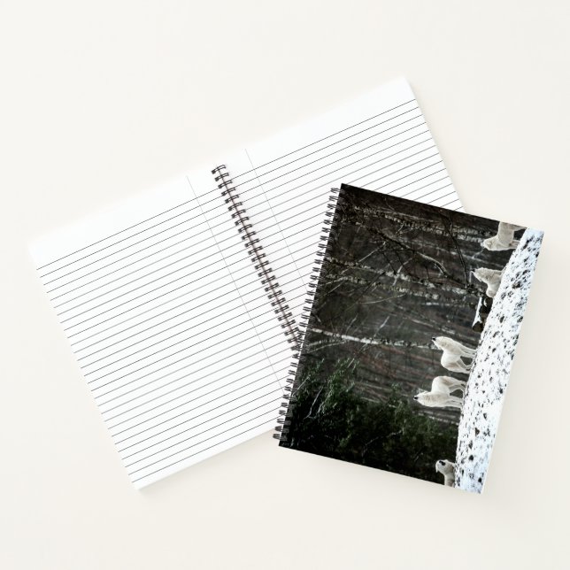 Carnet Loup polaire sauvage (Intérieur)