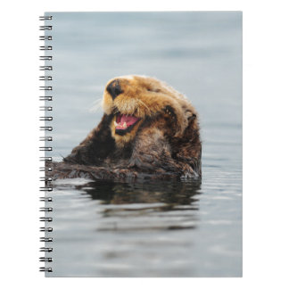 Carnet Loutre de mer d'Alaska