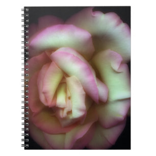 Carnet <Love is a Rose> par Nathan Griffith