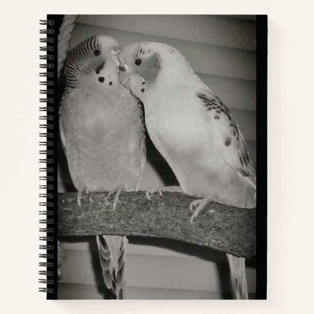 Carnet Lovier (Devant)