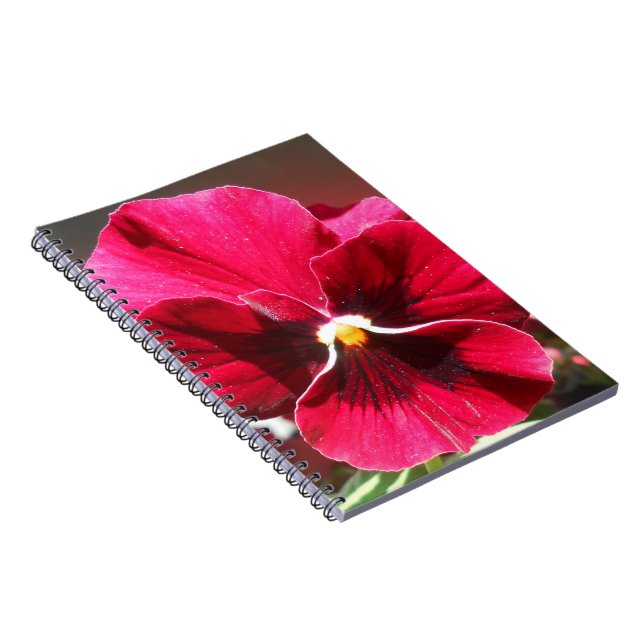 Carnet Lucrezia (Côté Droit)