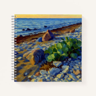Carnet Lumière du soir sur la côte de Vormsi