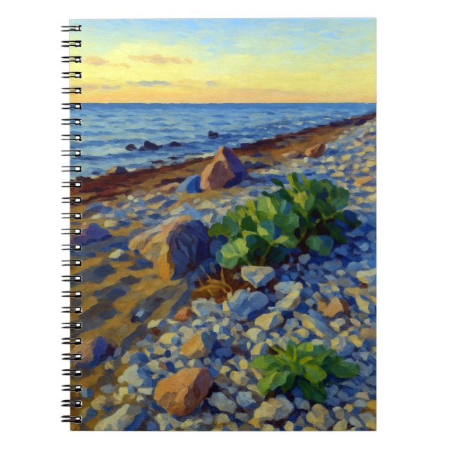 Carnet Lumière du soir sur la côte de Vormsi (Devant)