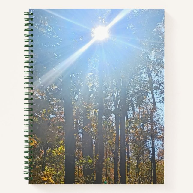 Carnet Lumière Solaire À Travers Les Arbres D'Automne Jou (Devant)