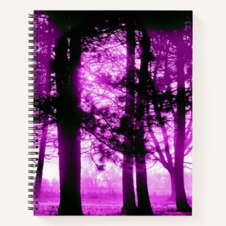 Carnet Lumière violette avec arbres en silhouette 