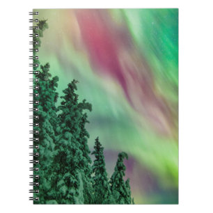 Carnet Lumières du Nord   Hiver à Glennallen, Alaska