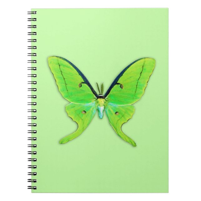 Carnet Luna moth sur un arrière - plan vert pâle (Devant)