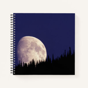 Carnet Lune & Forêt   Glacier National Park Montana