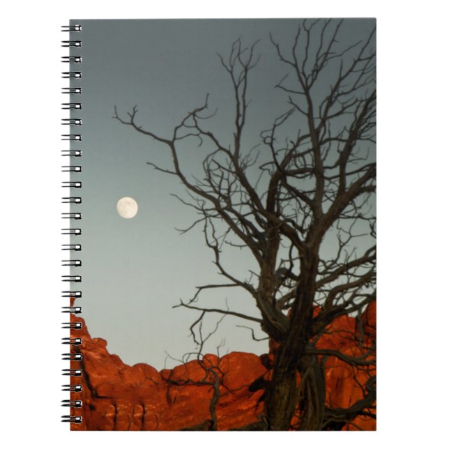 Carnet Lune mauvaise (Devant)