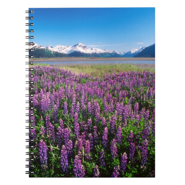Carnet Lupines en fleur | Kenai Mountains, Alaska (Devant)