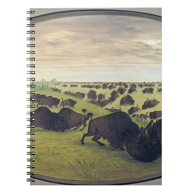 Carnet Lutte contre les buffles (Devant)