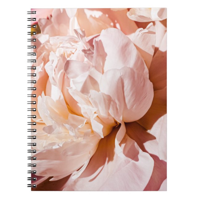 Carnet Luxury Peony Flowers Floral Arrière - plan (Devant)