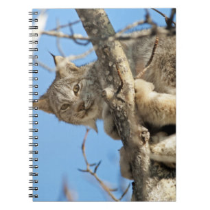 Carnet Lynx espiègle