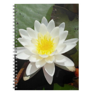 Carnet Lys d'eau