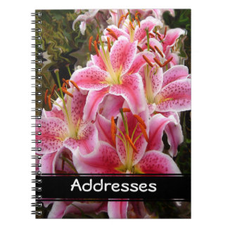 Carnet Lys Stargazer Rose