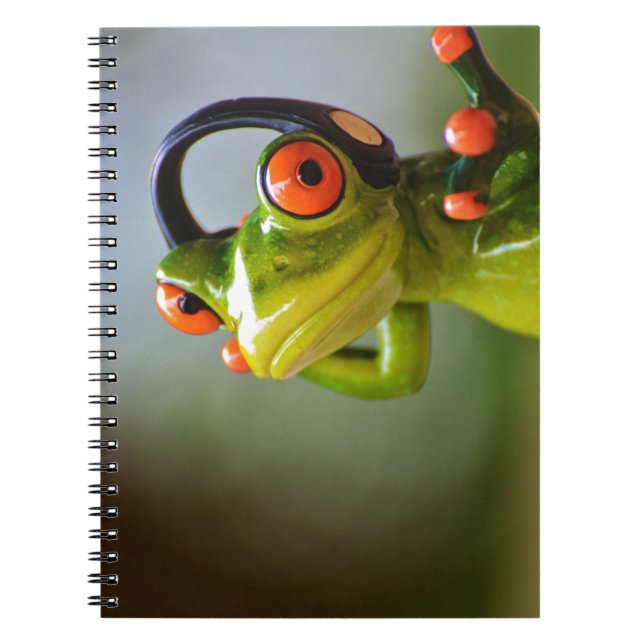 Carnet M. Frog avec casque (Devant)