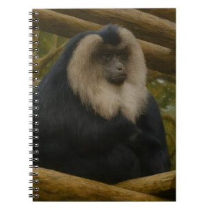 Carnet Macaque à queue de lion dans le sanctuaire foresti