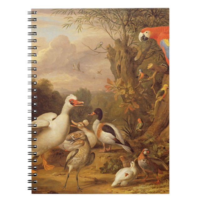 Carnet Macaw, Canards, perroquets et autres oiseaux sur u (Devant)