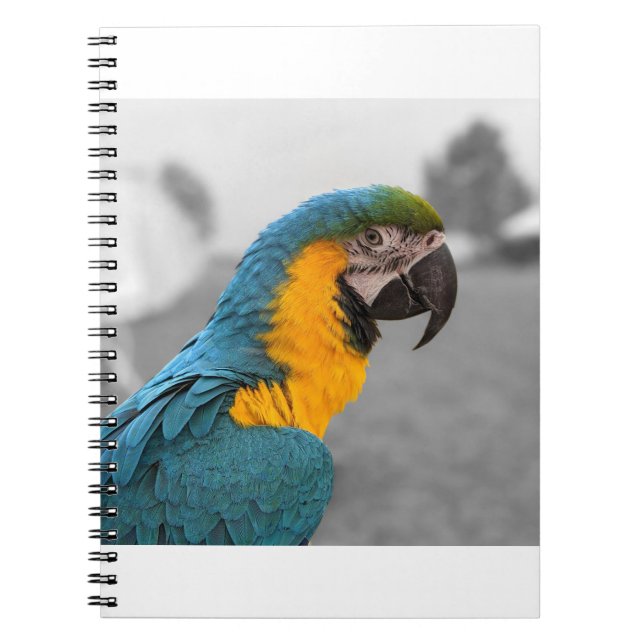 Carnet Macaw Parrot (Devant)