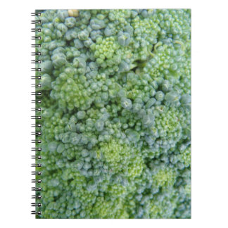 Carnet Macro Broccoli
