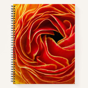 Carnet Macro Fleur   Champs de Fleurs Carlsbad, CA
