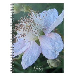 Carnet Macro photo de fleur de mûre