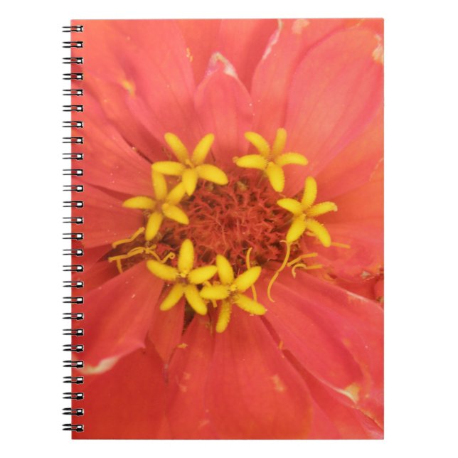 Carnet Macro Red Zinnia (Devant)