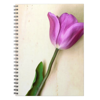 Carnet Magenta Tulip poétique