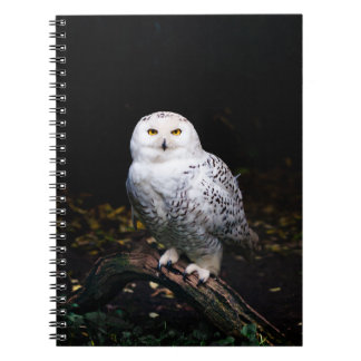 Carnet Magnifique harfang des neiges d'hiver
