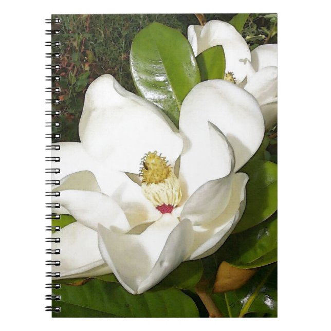 Carnet Magnolia blossom (Devant)