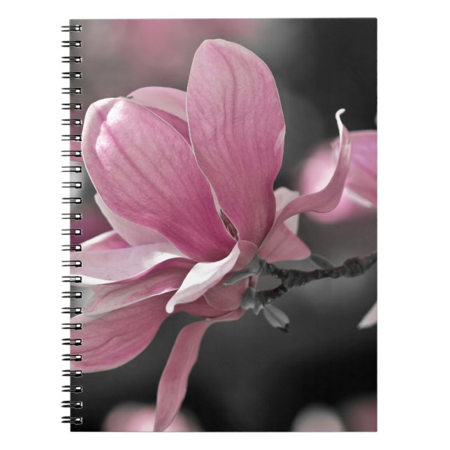 Carnet Magnolia de soucoupe rose japonaise (Devant)