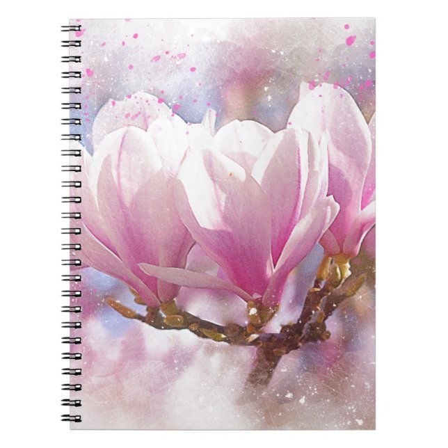 Carnet Magnolia rose-pourpre en floraison - Fleur de prin (Devant)