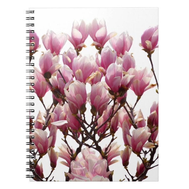 Carnet Magnolias roses en fleurs Fleur de printemps (Devant)