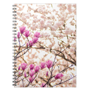 Carnet Magnolias roses violets en fleurs au printemps