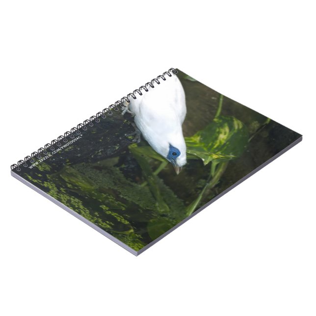Carnet Mainate de Bali (Côté gauche)