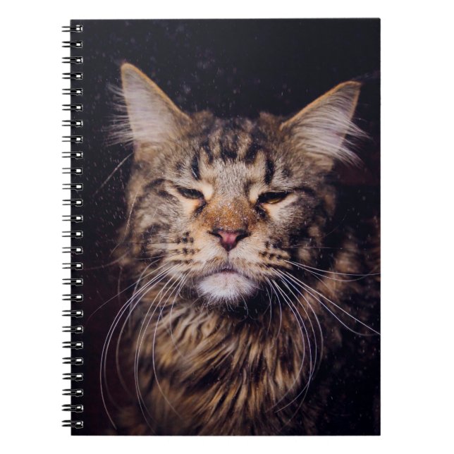 Carnet maine coon sur un arrière - plan noir (Devant)