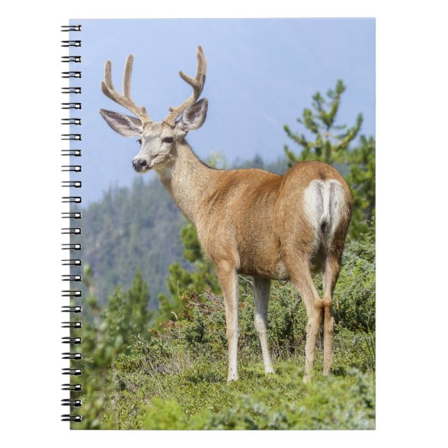 Carnet Majestic Deer (Devant)