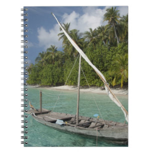Carnet Maldives, Atoll de North Male, Île de Kuda