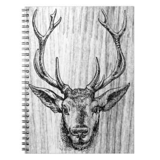 Carnet Mâle d'un cerf commun