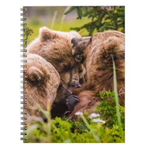 Carnet Mama bear nourrit ses deux petits, Lake Clark Nati