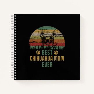 Carnet Maman de Chihuahua