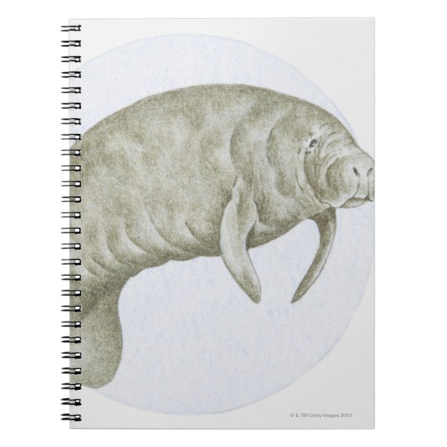 Carnet Manatee (Devant)
