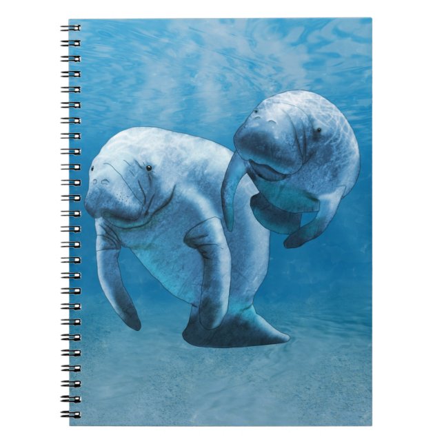 Carnet Manatees (Devant)