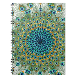 Carnet Mandala coloré de paon masculin