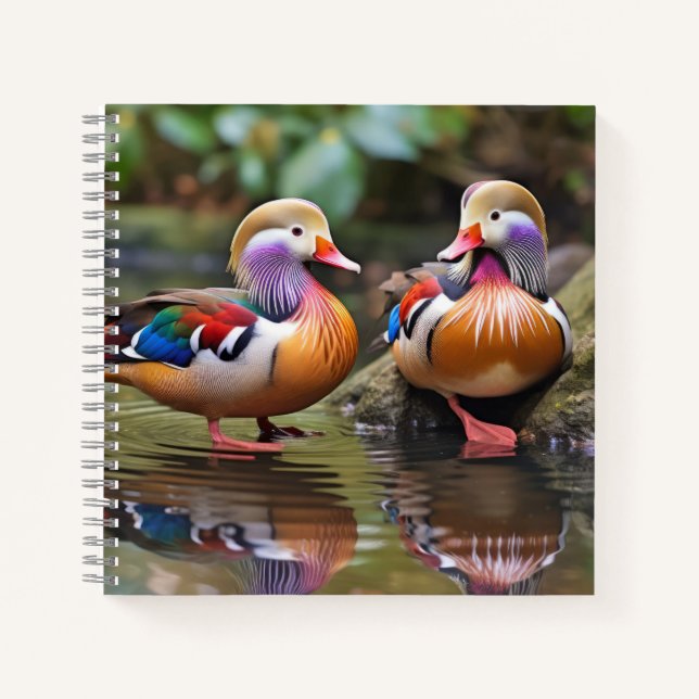 Carnet Mandarin canard Animal Oiseau Faune Sauvage Art (Devant)