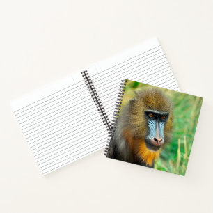 Carnet Mandrill 002