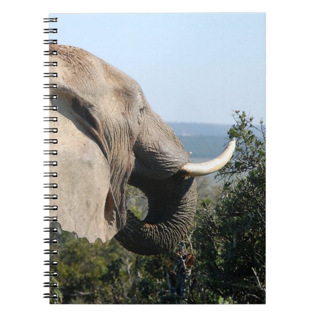 Carnet Manger des éléphants sauvages, Afrique du Sud (Devant)